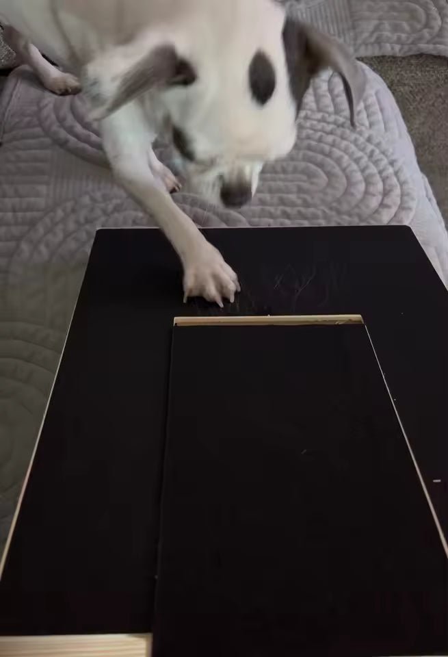 Scratch Board