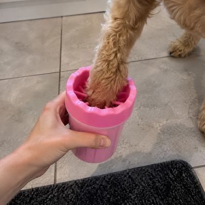 Paw cleaner