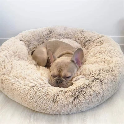 Dog/Cat bed