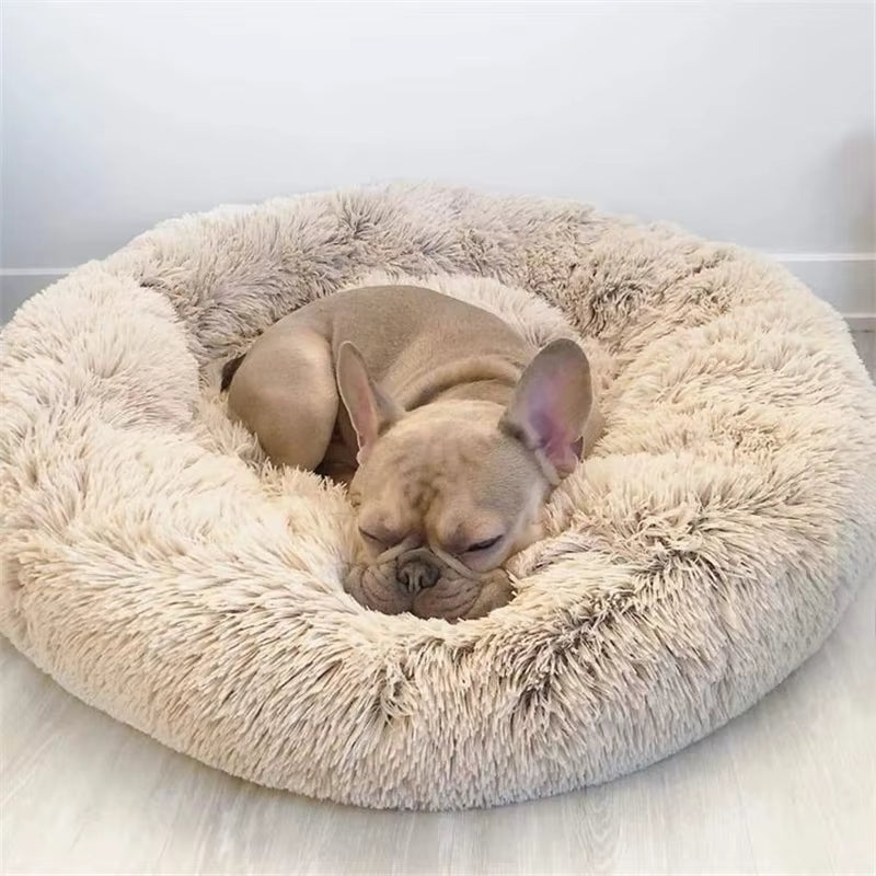 Dog/Cat bed